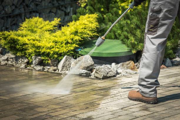 Best Window and Screen Pressure Cleaning in Eggertsville, NY