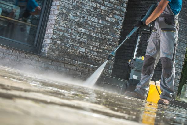Best Roof Cleaning and Mildew Removal in Eggertsville, NY