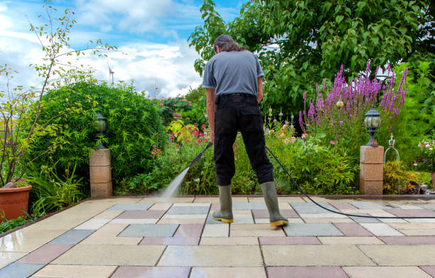 Best Soft Washing for Delicate Surfaces in Eggertsville, NY